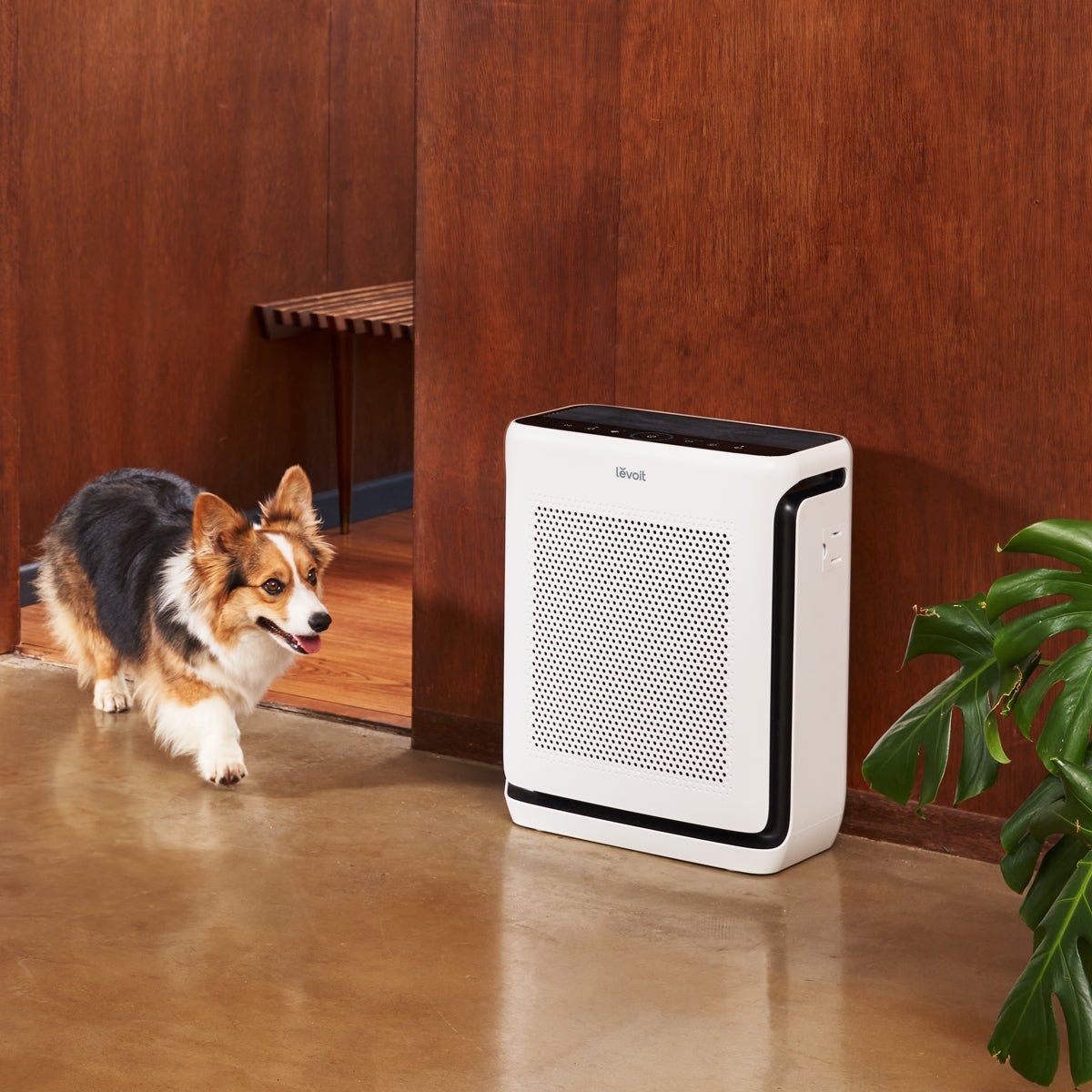 Levoit Vital 200S-P Air Purifier for Home. Pet Hair & Dander Control - Image 4